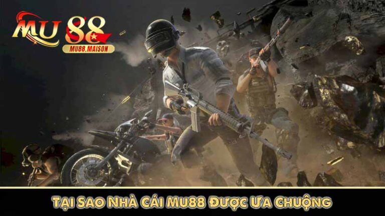 Captura de tela do aplicativo de cassino Bet558